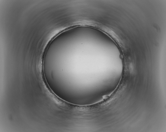 X0000111901040200908031113