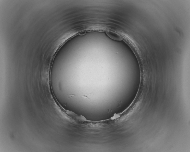 X0000111901041200908031113