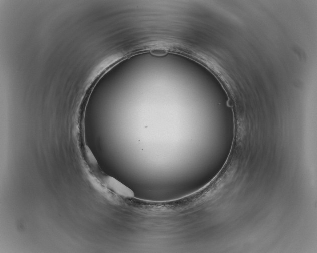 X0000111901042200908031113