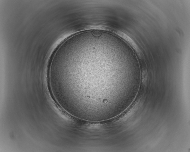 X0000111901043200908031113