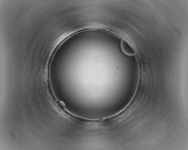 X0000111901044200908031113