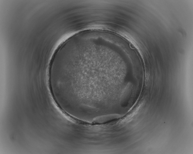 X0000111901045200908031113