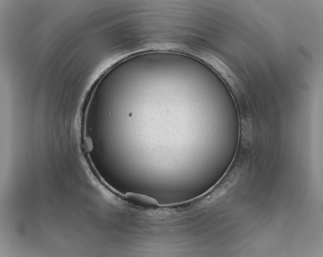 X0000111901046200908031113