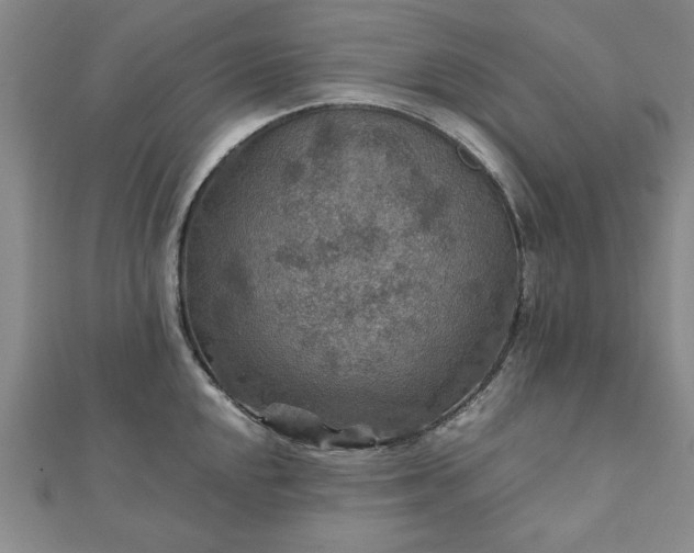 X0000111901048200908031113