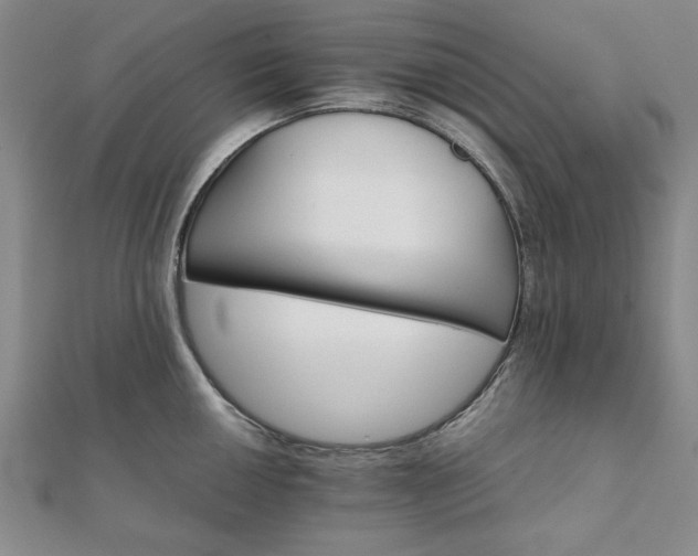 X0000111901050200908031113