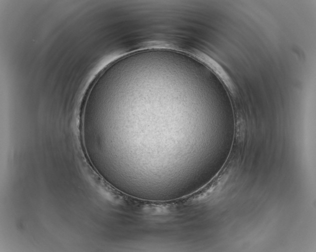 X0000111901051200908031113