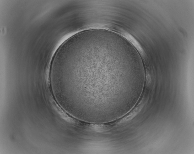 X0000111901052200908031113