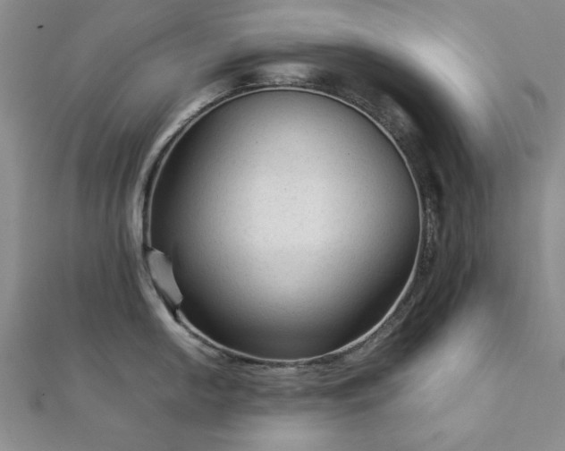 X0000111901054200908031113