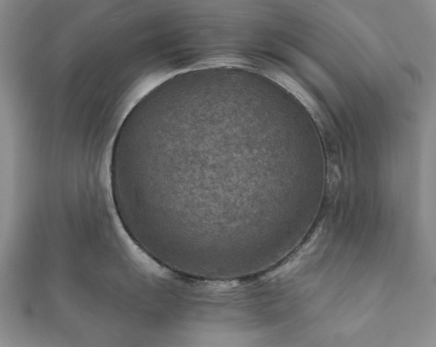 X0000111901055200908031113