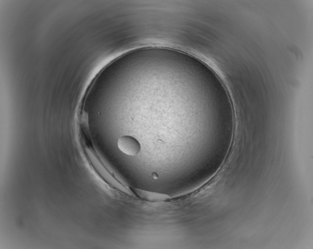 X0000111901056200908031113