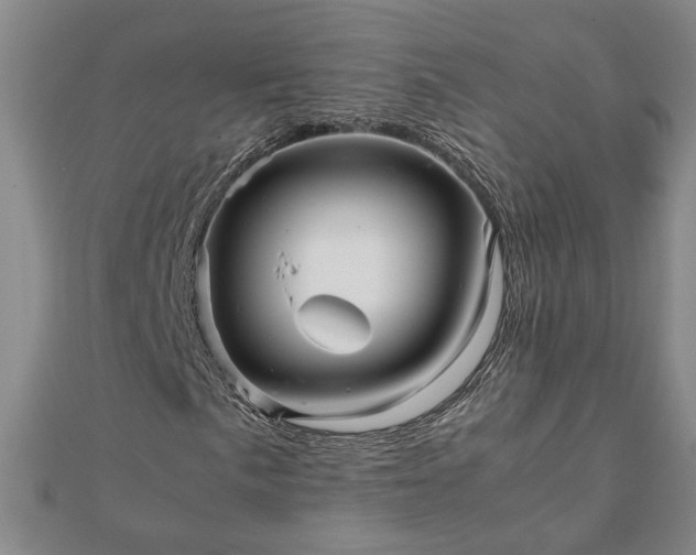 X0000111901057200908031112