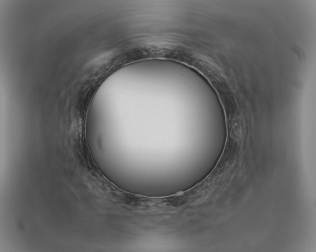 X0000111901061200908031112