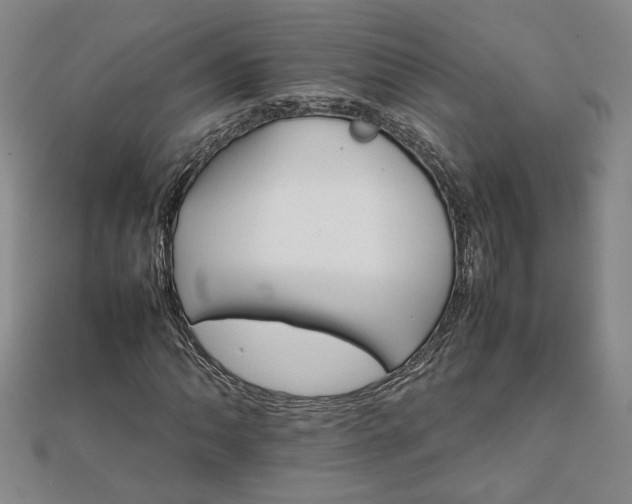 X0000111901062200908031112