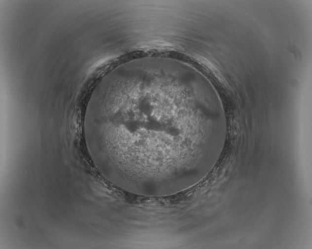 X0000111901063200908031112