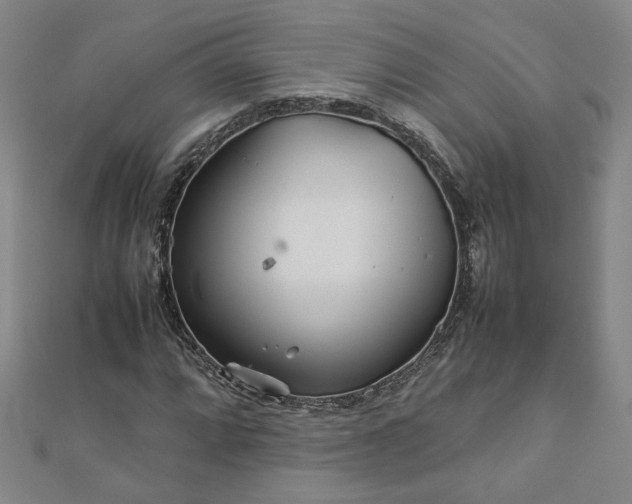 X0000111901064200908031112