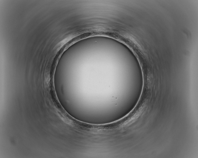 X0000111901065200908031112