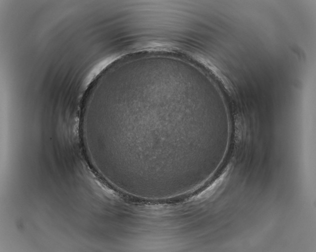 X0000111901066200908031112