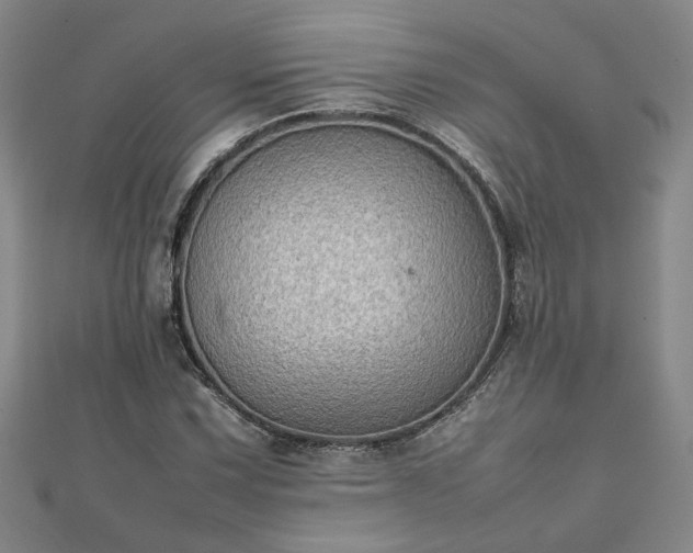 X0000111901067200908031112