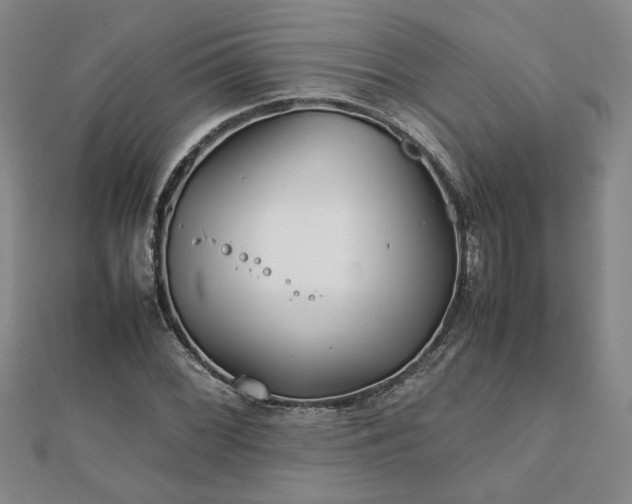 X0000111901068200908031112