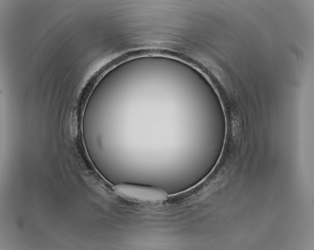 X0000111901069200908031112