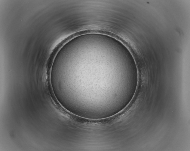 X0000111901070200908031112