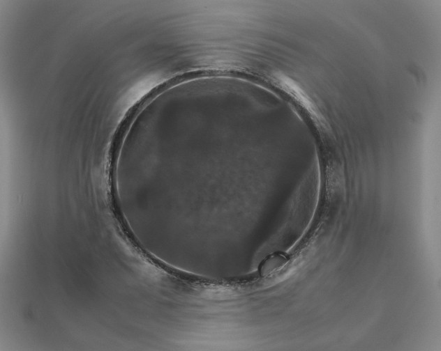 X0000111901071200908031112