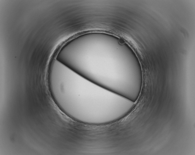 X0000111901072200908031112