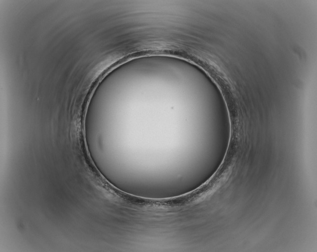 X0000111901073200908031112