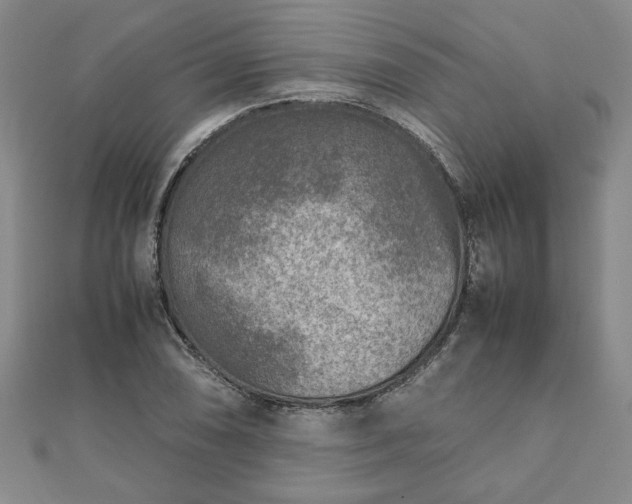 X0000111901074200908031112