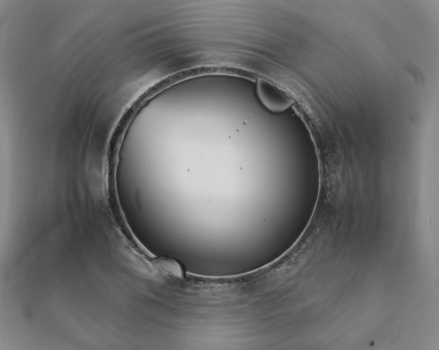 X0000111901076200908031112