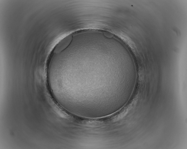 X0000111901077200908031112