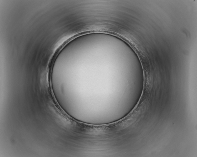 X0000111901078200908031112