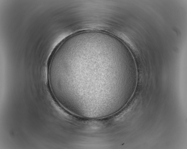 X0000111901079200908031112