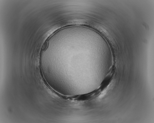 X0000111901081200908031112