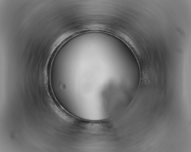 X0000111901082200908031112