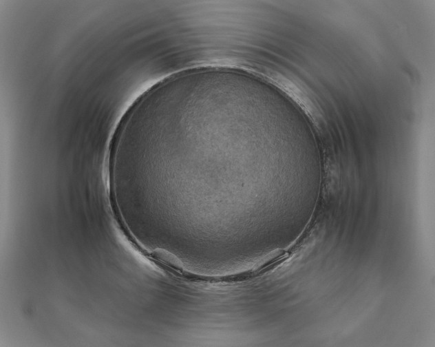 X0000111901084200908031112