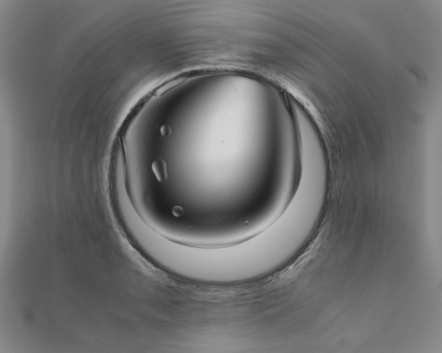 X0000111901085200908031112