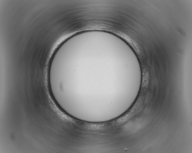 X0000111901086200908031112