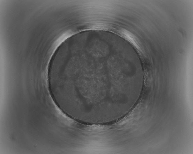 X0000111901087200908031112