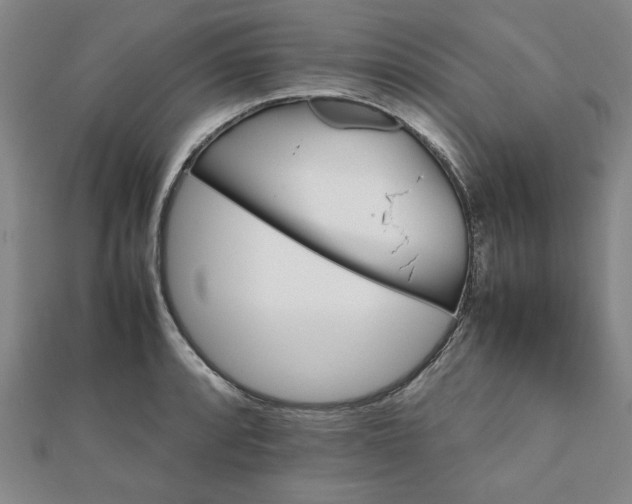 X0000111901088200908031112