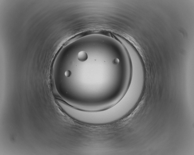 X0000111901089200908031112