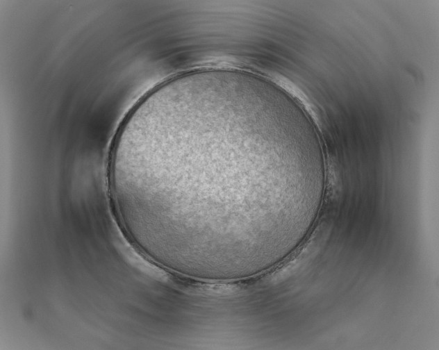 X0000111901090200908031112