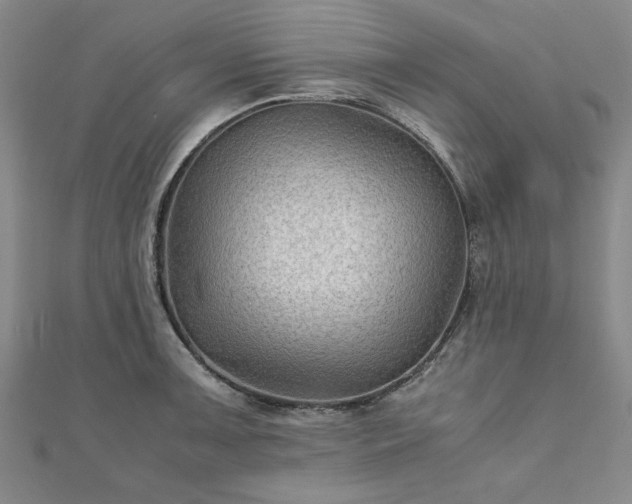 X0000111901091200908031112