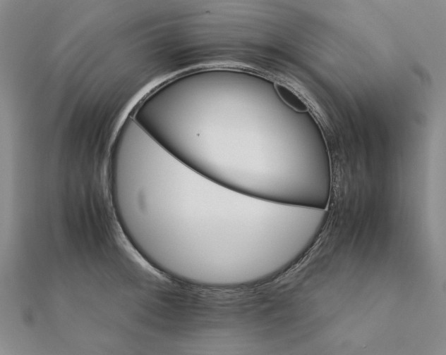 X0000111901092200908031112