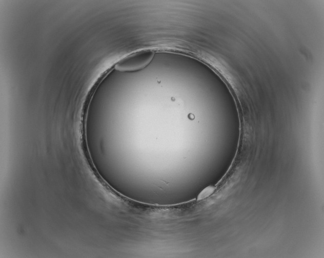 X0000111901093200908031112