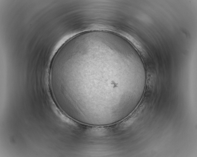 X0000111901094200908031112