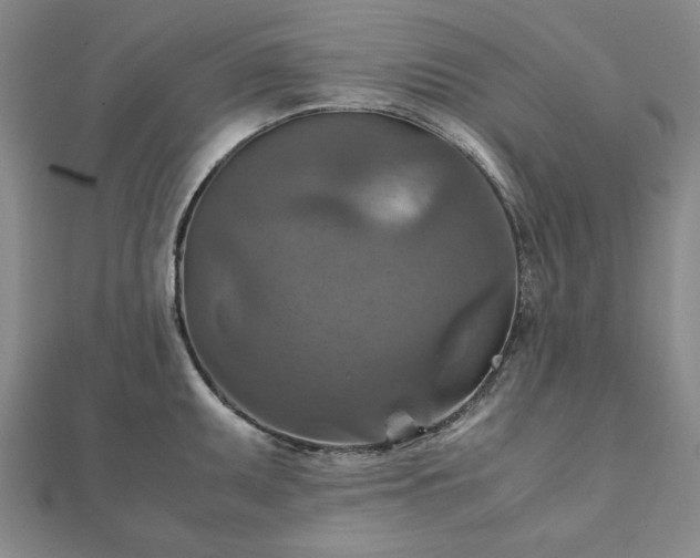 X0000111901095200908031112