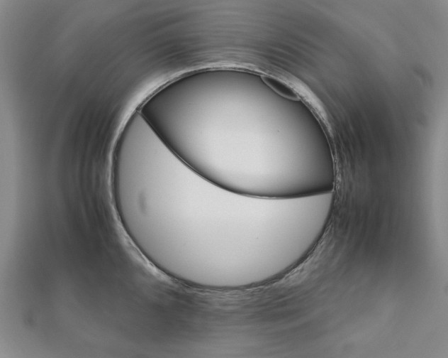 X0000111901096200908031112