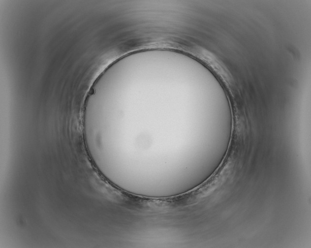 X0000111901097200908031112