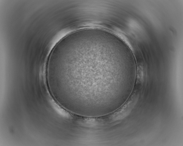 X0000111901098200908031112